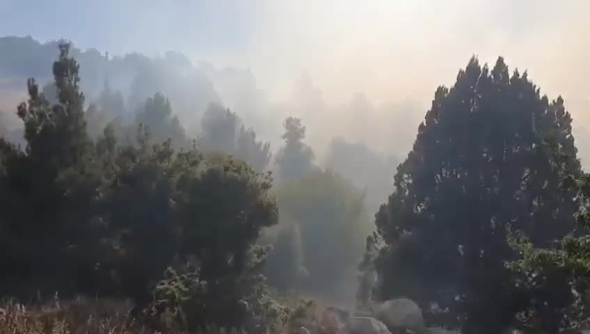 بالفيديو: حريق ضخم يلتهم أحراج القبيات في عكار والدفاع المدني يسارع لإخماده