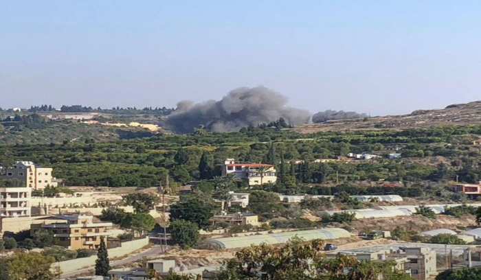 كم بلغ عدد ضحايا وجرحى الغارة على حاريص؟