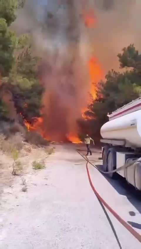 بالفيديو: حرائق تلتهم غابات الساحل السوري