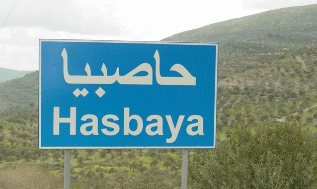 وقفة احتجاجية لمشايخ البياضة في قضاء حاصبيا
