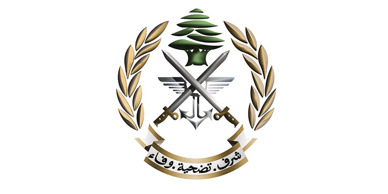 عملية دهم للجيش في عمشيت.. ومقتل مطلوب