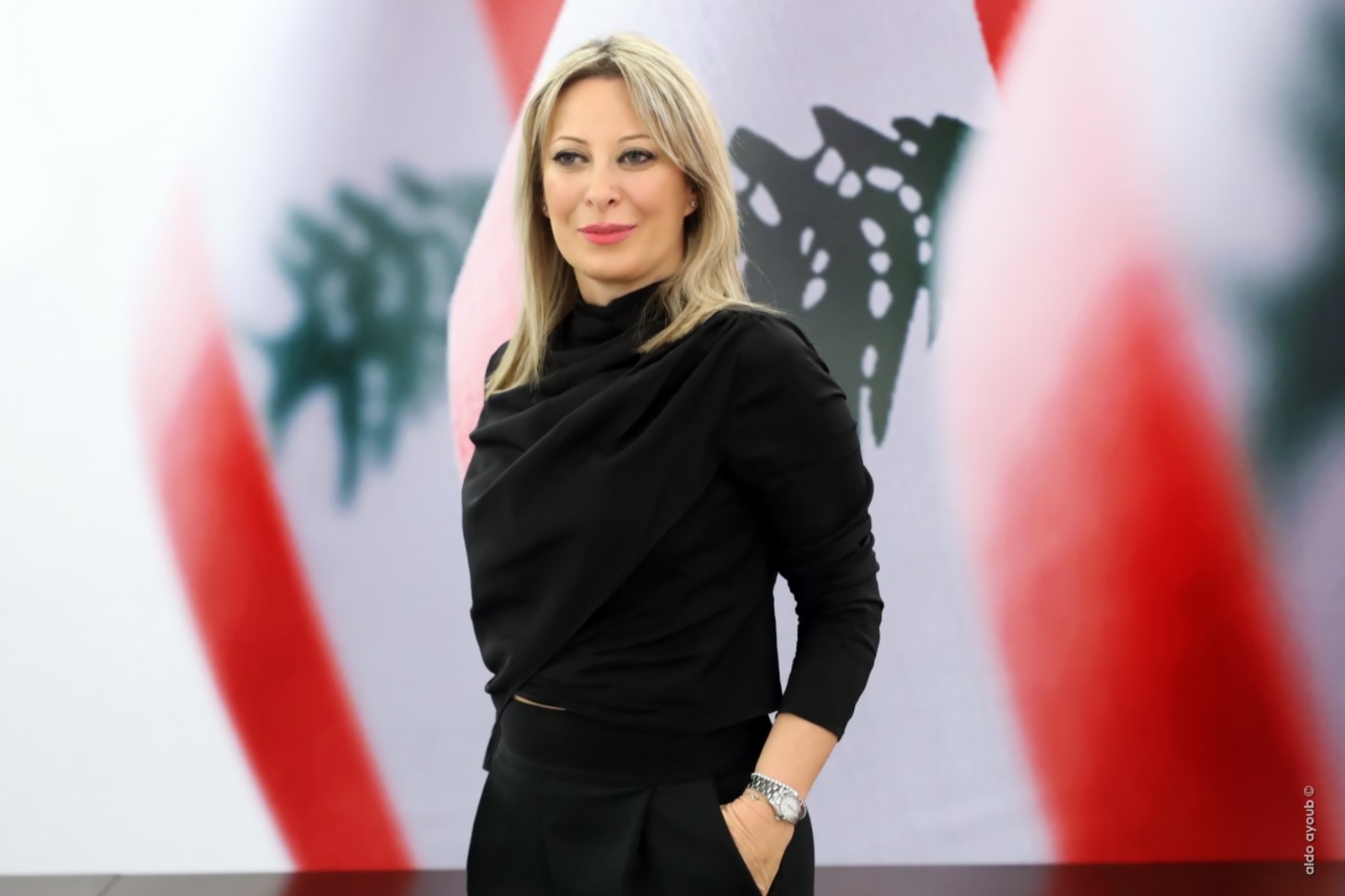 أيوب: قرار مجلس الوزراء ليس غدرًا أو جديدًا