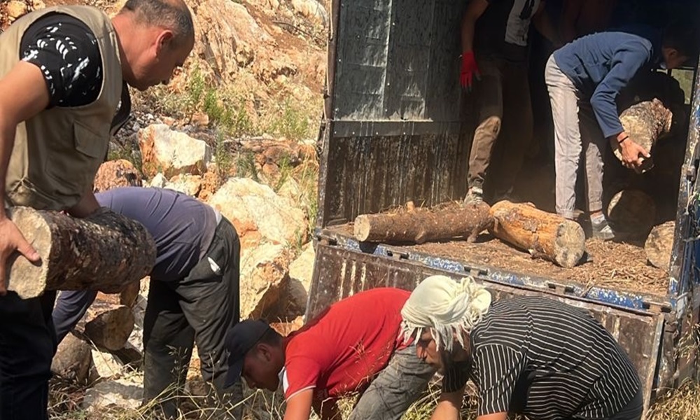 مصادرة حطب ومعدات من أحراج بلدة حرّار