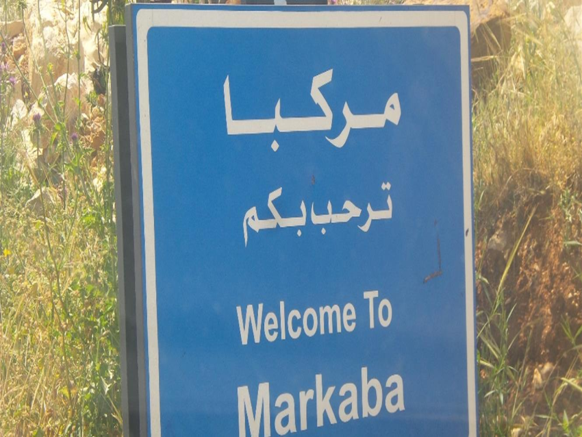 شباب مركبا يوقفون 4 سوريين بالجرم المشهود ويسلمونهم للجيش
