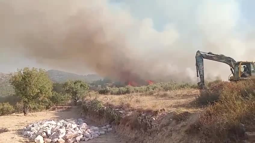بالفيديو - توقيف مشتبه بإشعال حريق كبير في بشعله أتى على آلاف الأمتار من بساتين الزيتون