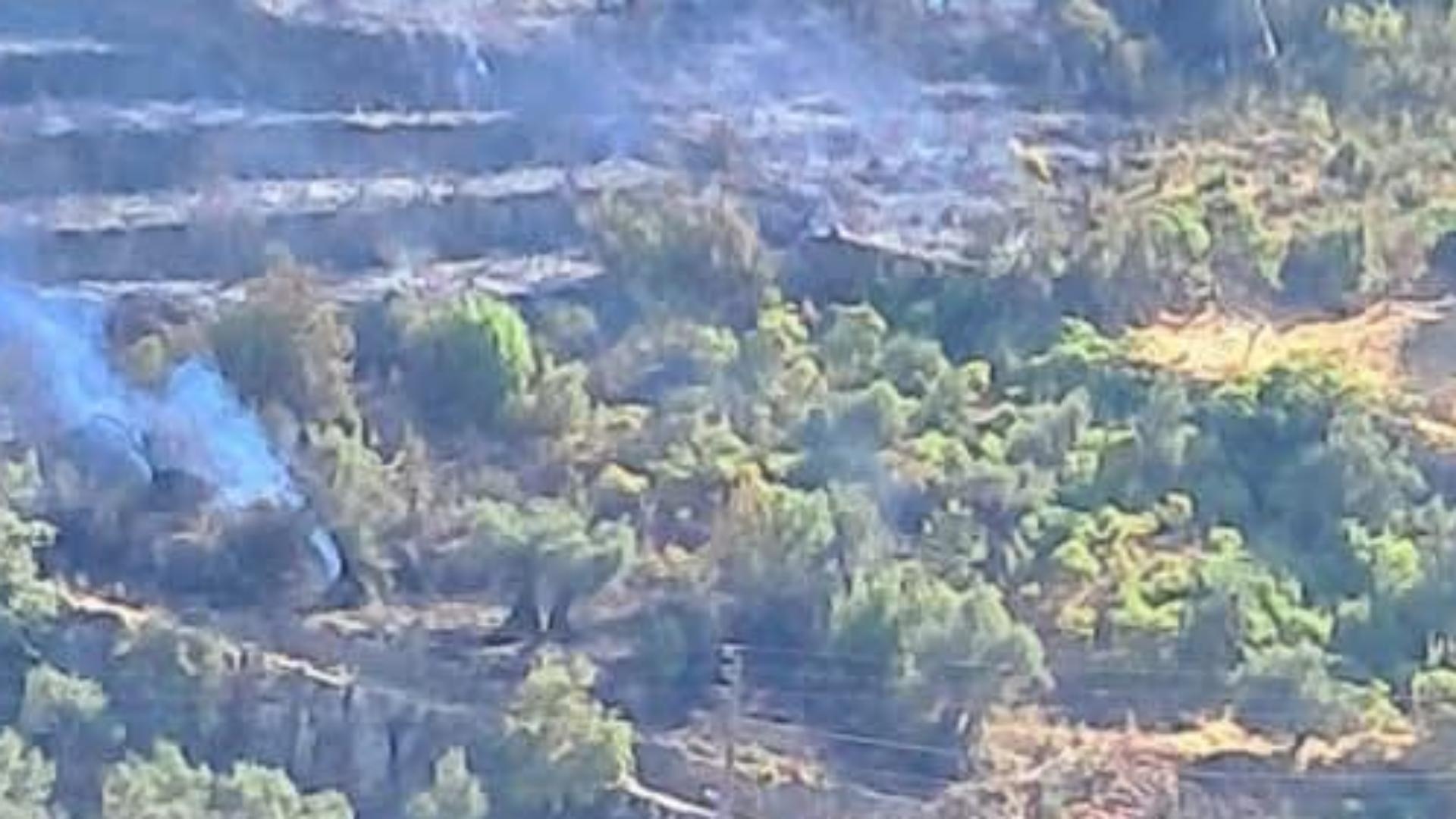 بالفيديو - حريق بشعله يتمدد نحو جبل فغري وتخوف من الوصول الى المنازل