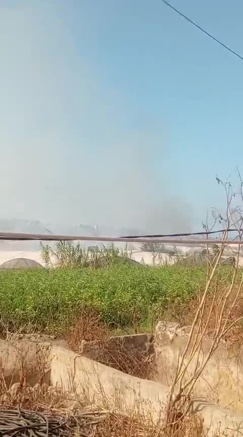بالفيديو - اندلاع حريق في أحد بساتين الجية