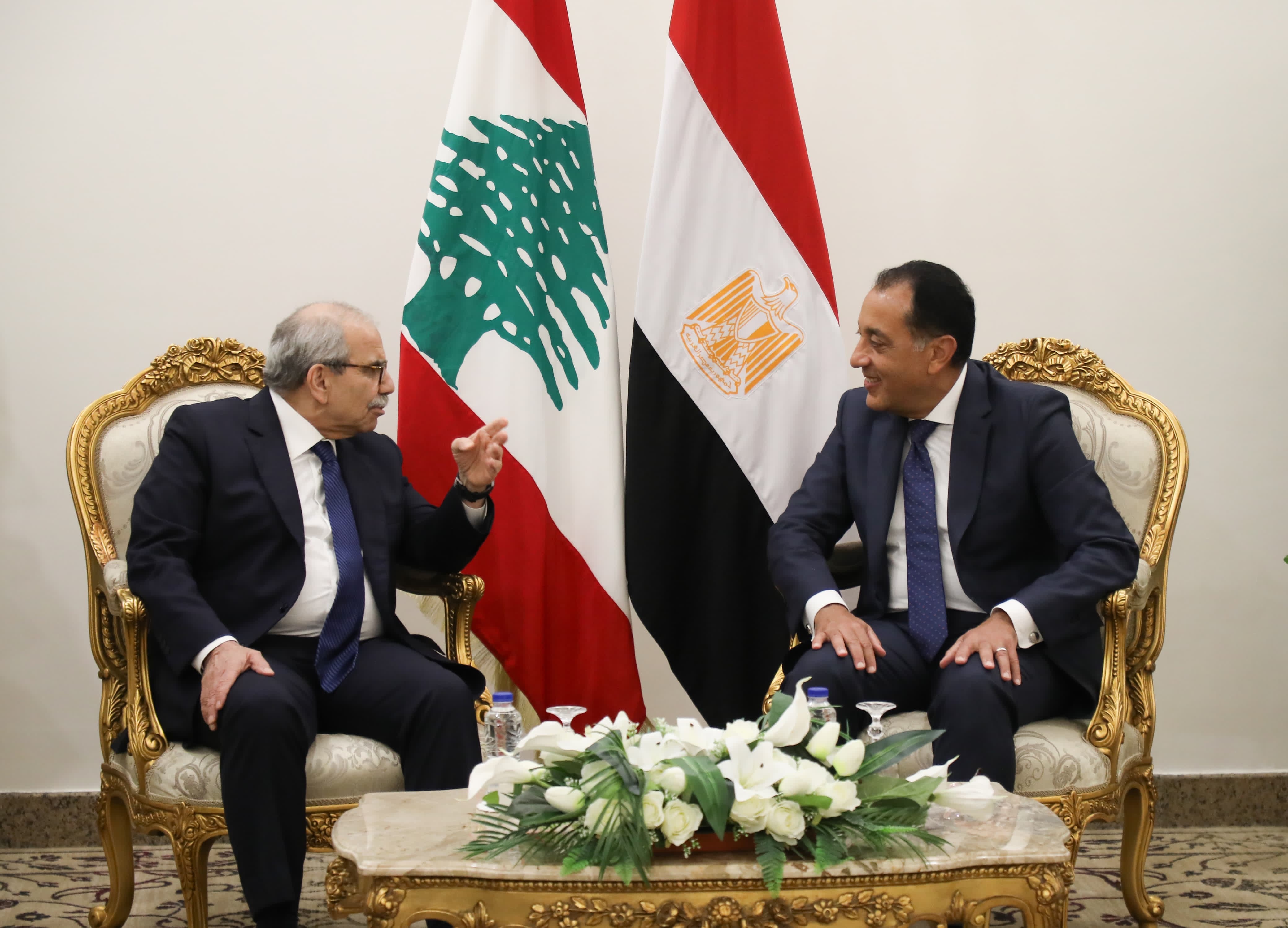 لقاء موسّع بين سلام ونظيره المصري