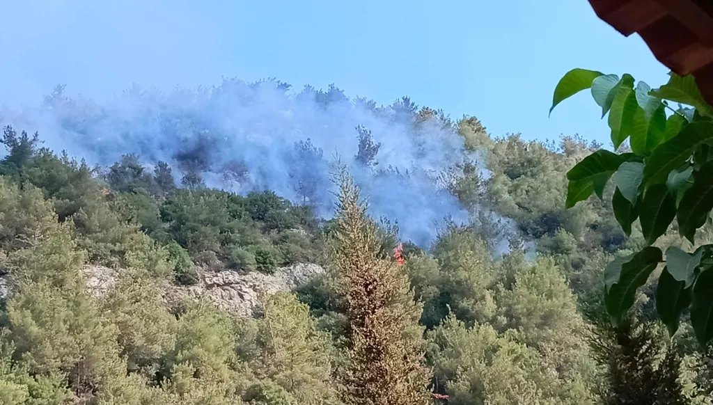 حريق كبير في أحراج عيون السمك... وطوافة للجيش  تتدخّل لإخماده