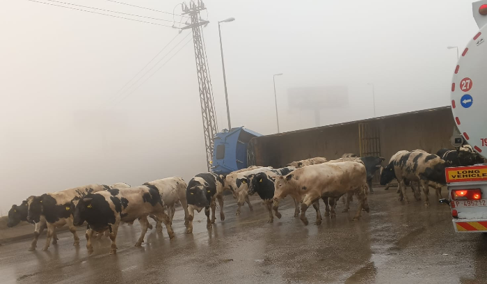 قطع الطريق في ضهر البيدر بسبب انقلاب شاحنة