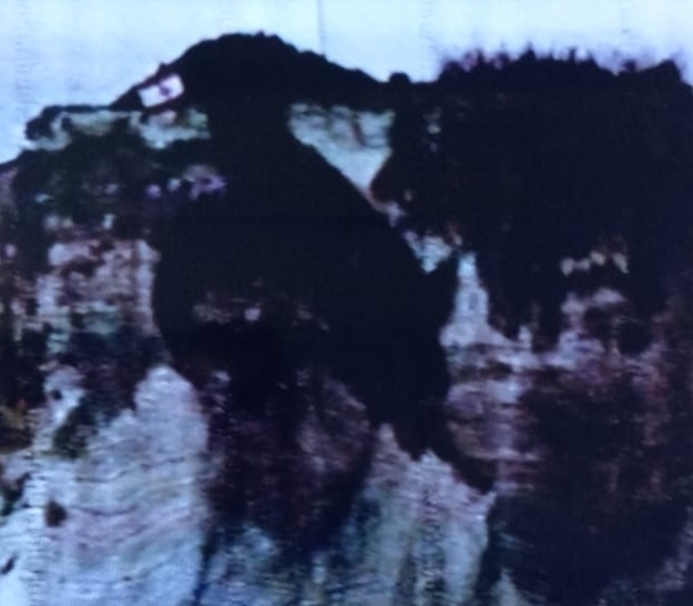 حزب الله يُضيء صخرة الروشة بصور نصرالله وصفي الدين