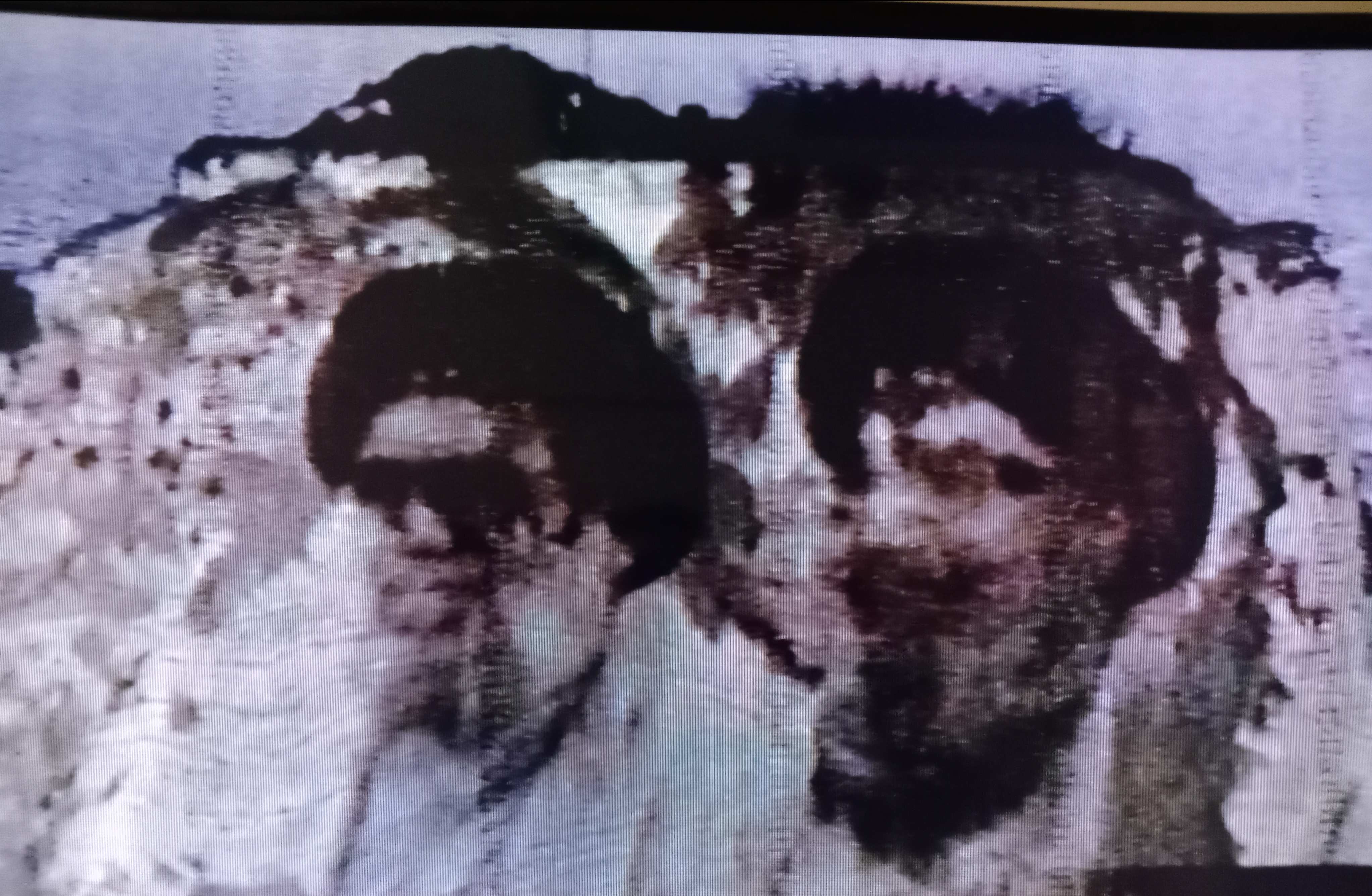 حزب الله يُضيء صخرة الروشة بصور نصرالله وصفي الدين