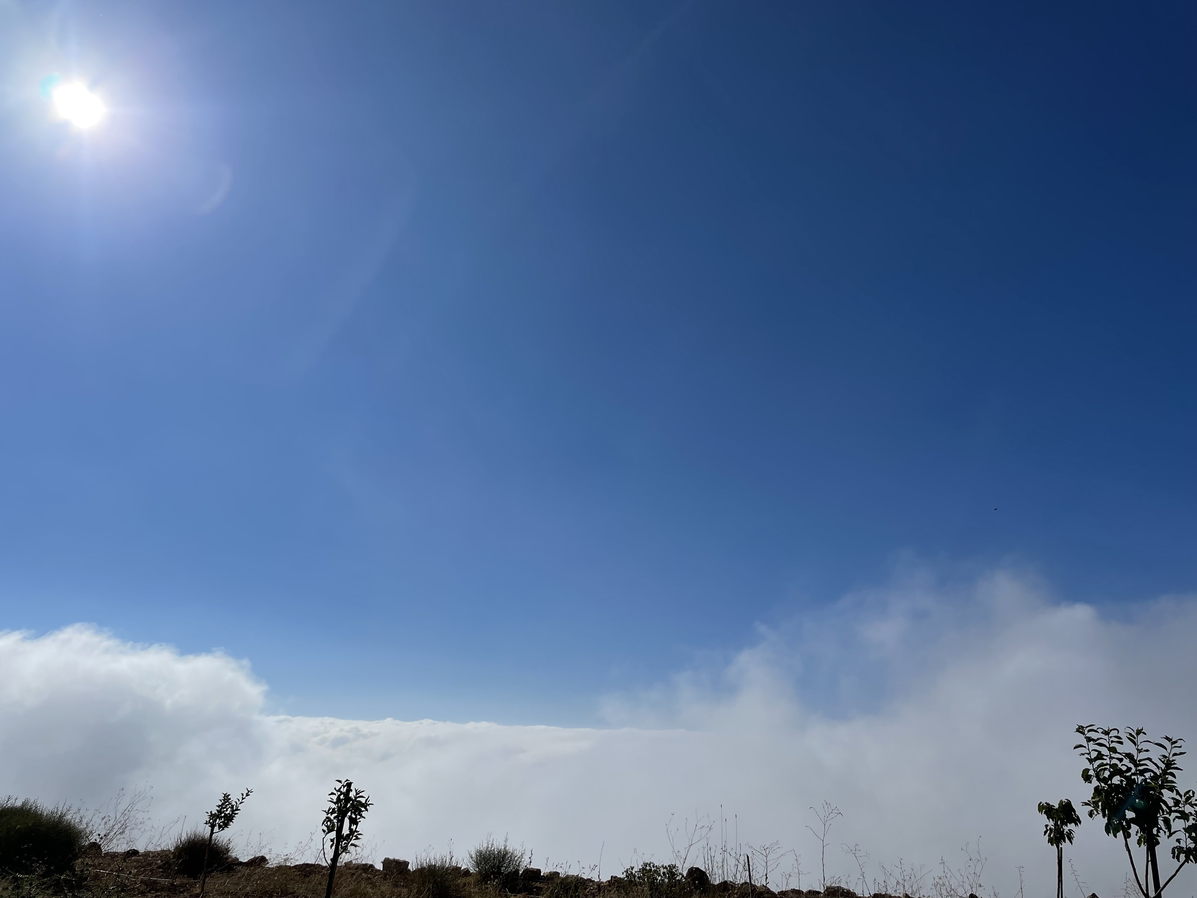 انخفاض ملحوظ بالحرارة مع احتمال أمطار خفيفة ومتفرقة شمالاً وعلى المرتفعات