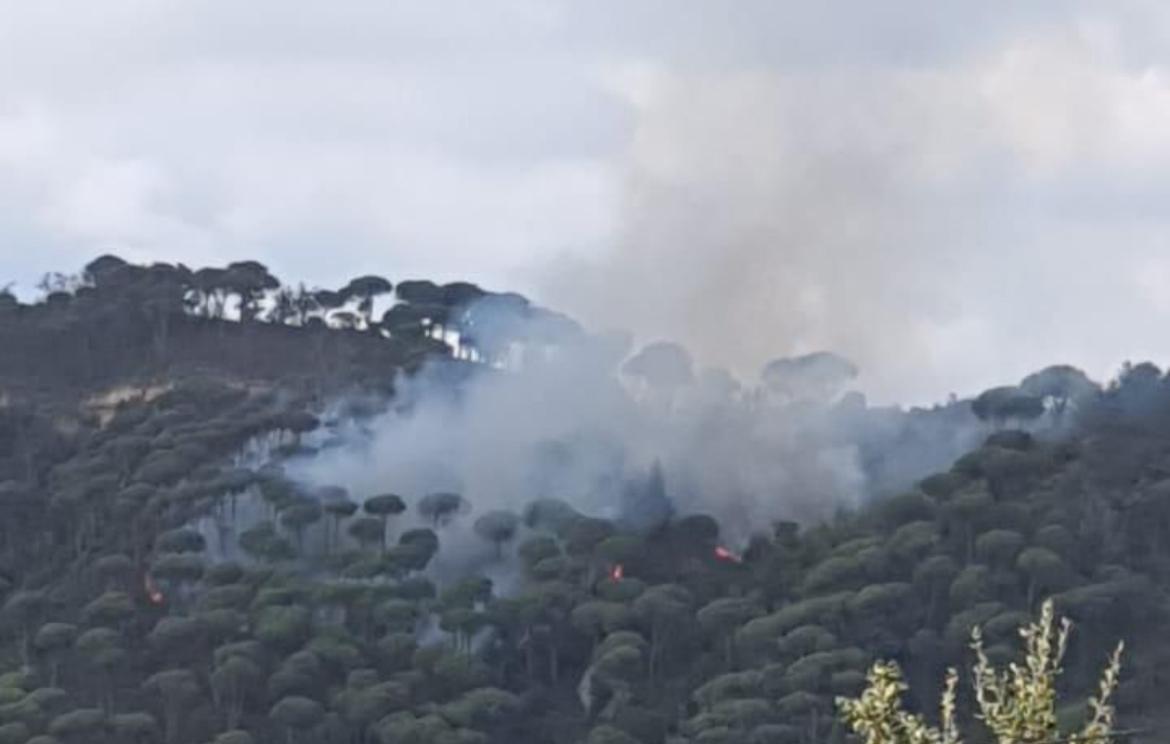 حريق كبير في منطقة الصنوبر – جباع… ومناشدات للجيش للتدخل عبر الطوافات