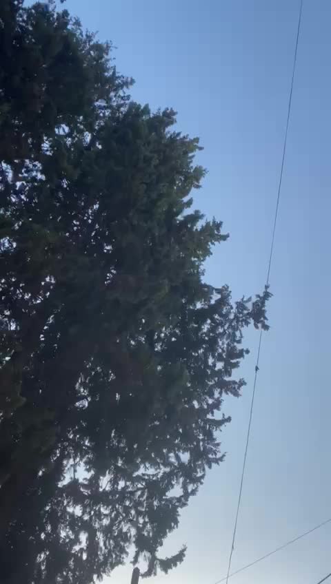 بالفيديو - تحليق مكثّف لمسيرات إسرائيلية فوق بلدات النبطية