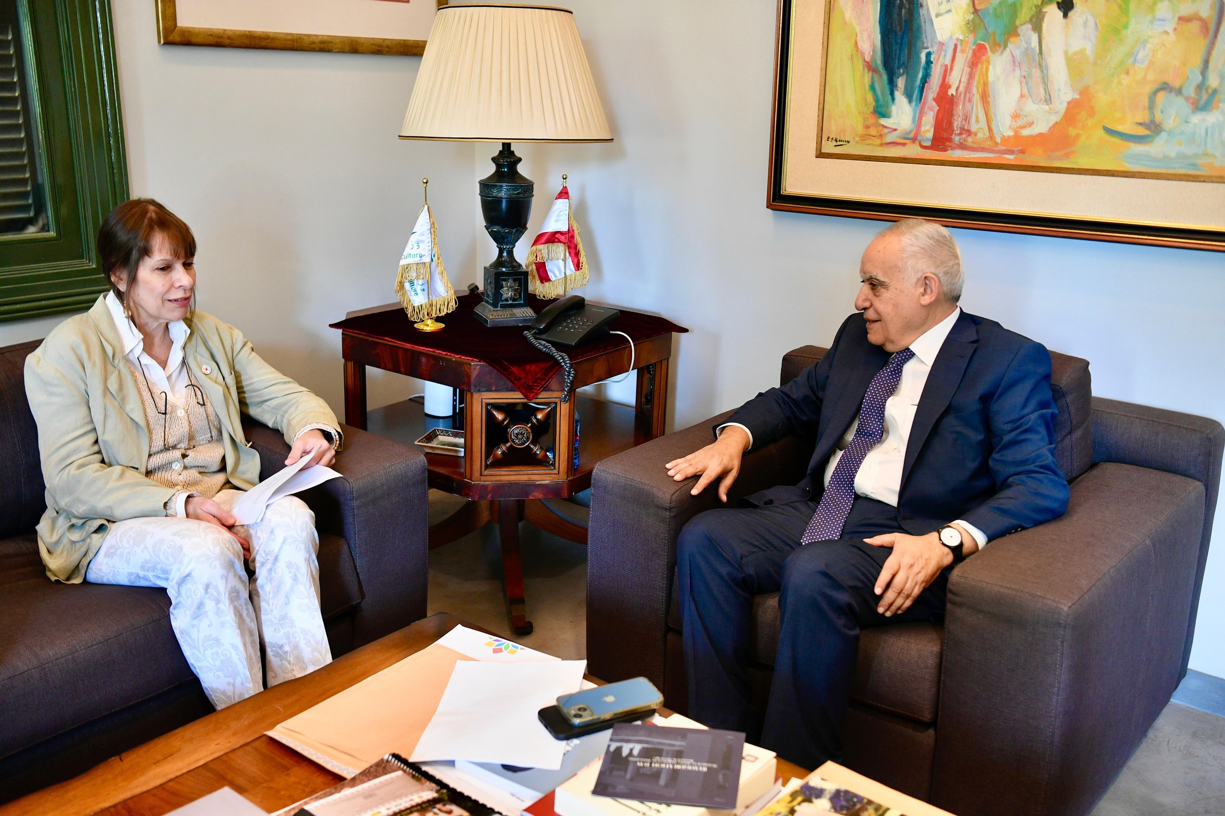 سلامة بحث مع فد اللجنة الدولية للصليب الأحمر في حماية التراث