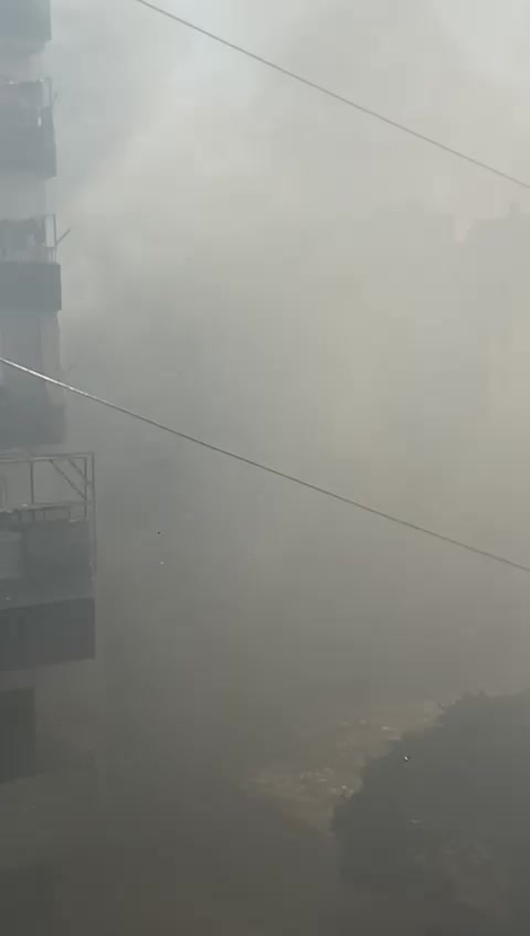 بالفيديو: حريق عند مدخل منطقة جبل البداوي