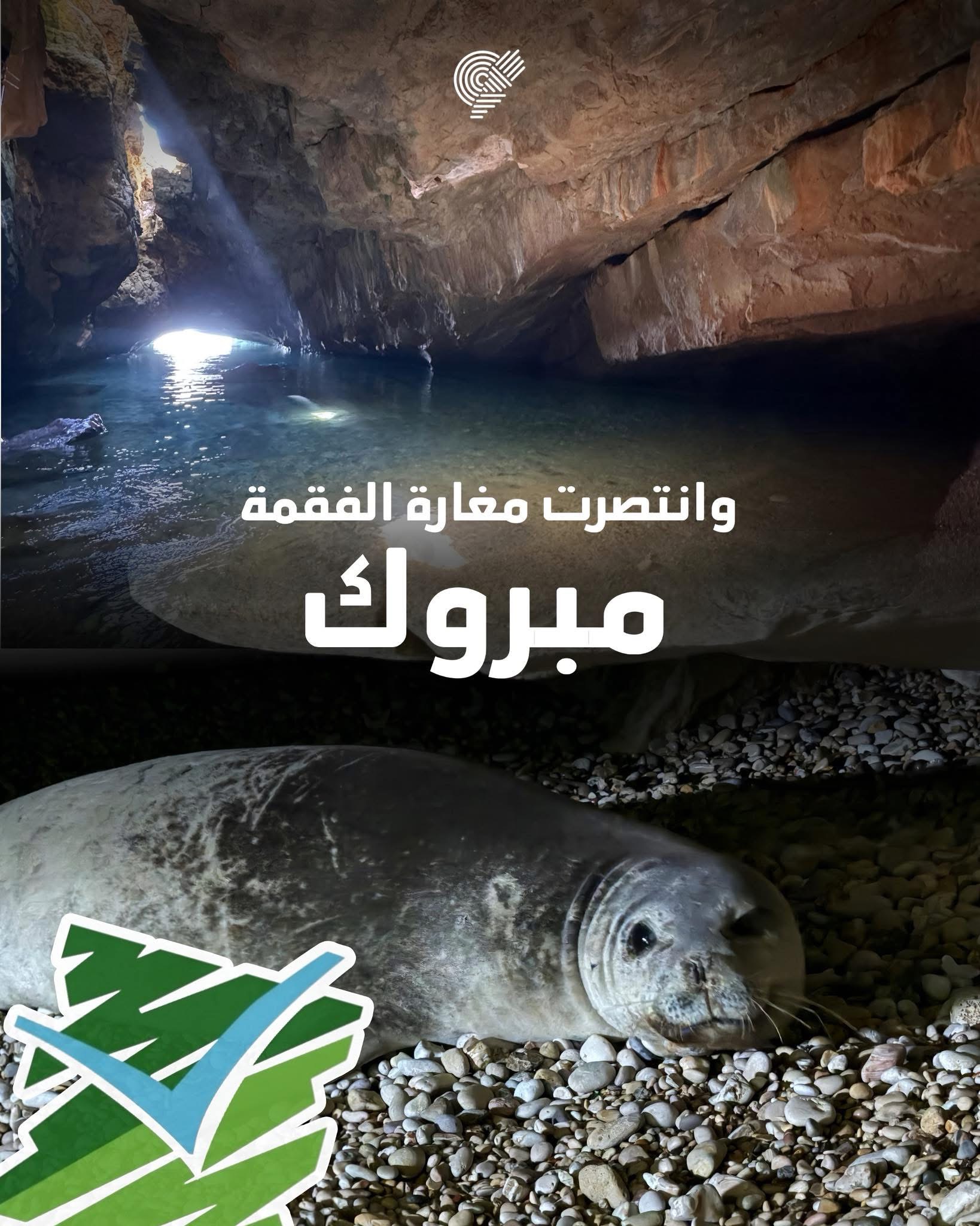 وزارة البيئة توقف الأشغال فوق مغارة فقمة الراهب في عمشيت وتطالب بدراسة أثر بيئي شاملة