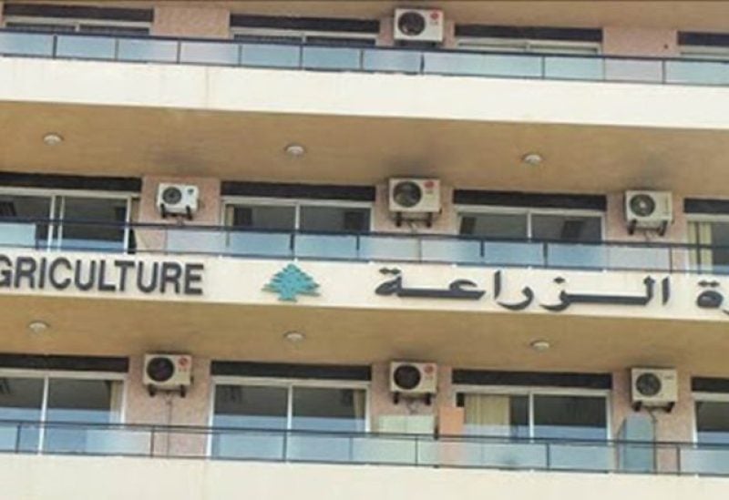 مجموعة من طيور الحسون مهرّبة إلى لبنان.. والزراعة تتحرّك!
