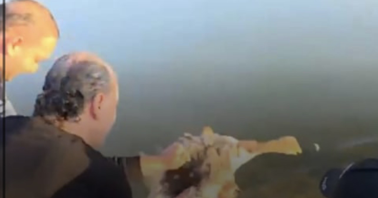 مصلحة زراعة عكّار: إطلاق 10 طيور وزّ في بحيرة الكواشرة