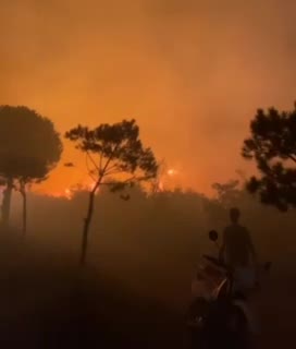 بالفيديو - هل من استهداف في عربصاليم؟