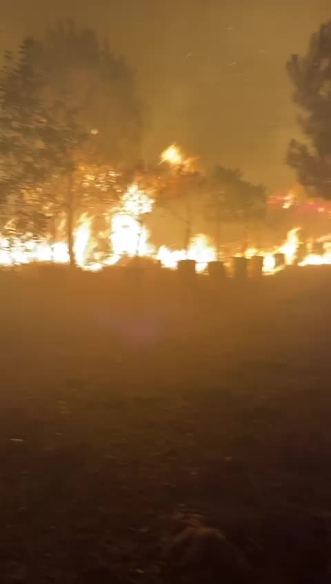 بالفيديو – اندلاع حريق كبير في عربصاليم يستدعي نداءات استغاثة عاجلة