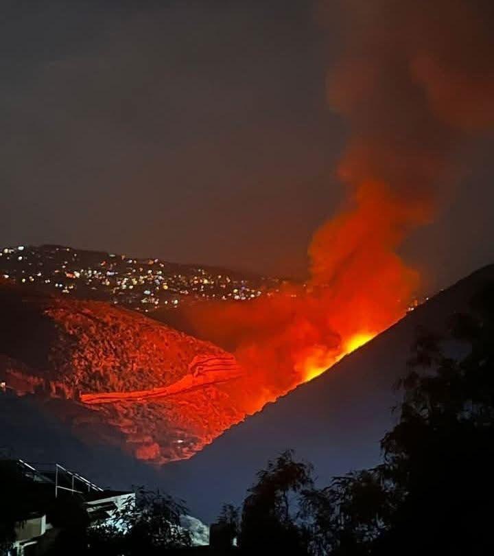 حريق كبير يلتهم أحراج وادي المعنية – عين الأسد بين برجا ودلهون ومناشدات لإنقاذ المنازل