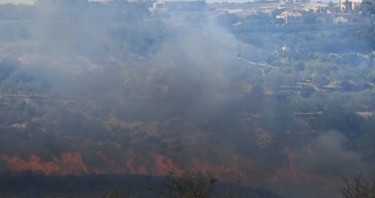 حريق كبير في احراش الزرارية