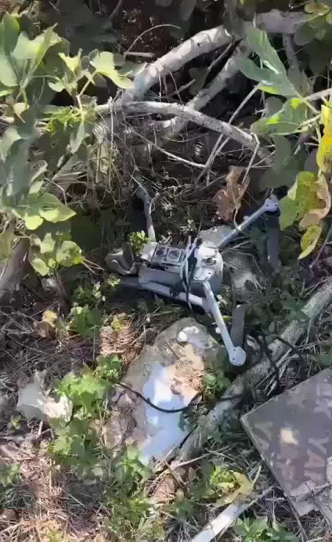 سقوط طائرة درون إسرائيلية في بلدة راميا