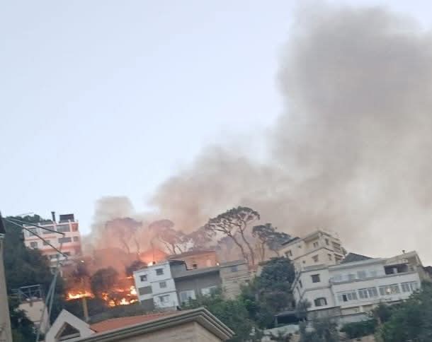 حريق كبير في بطحا- كسروان والاهالي يناشدون