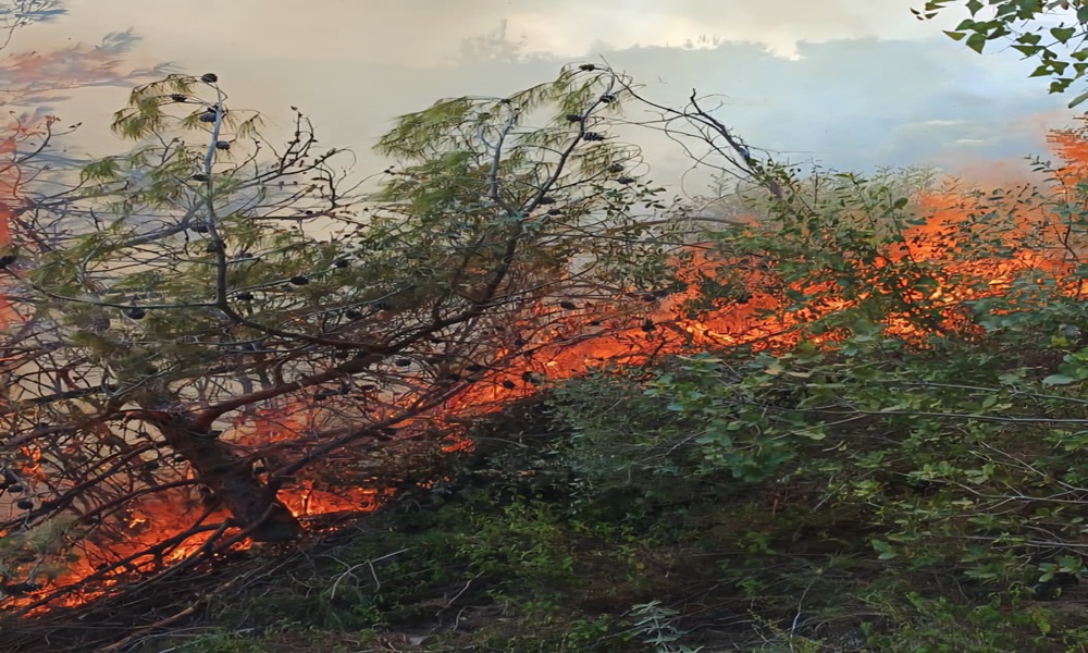 حريق كبير في أحراج شحيم