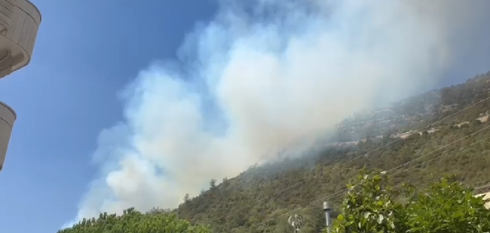 حريق ضخم يلتهم أحراج بلدة المطلة – الشوف