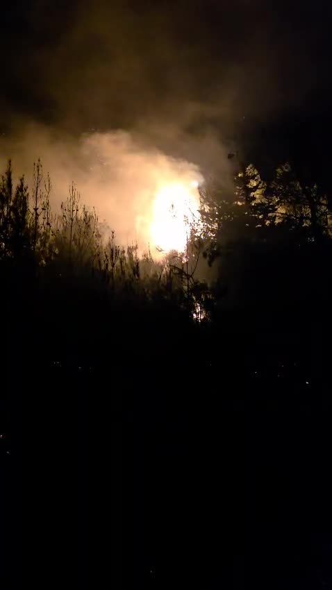 اندلاع حريق كبير في أحراج بلدة إيزال بالضنية والنيران تقترب من المنازل