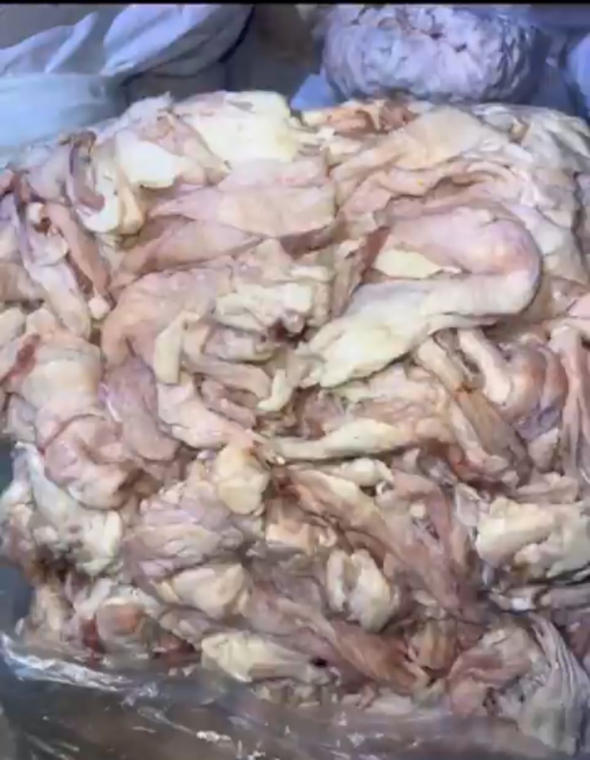 في بعلبك.. ضبط 3 أطنان من الشحوم الحيوانية الفاسدة!