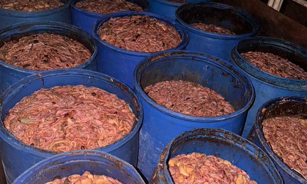 ضبط حوالي 5 طن من مخلّفات الدجاج في البقاع