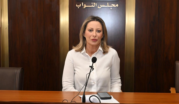 أيوب:الضغوط على لبنان رسالة سياسية إلى الداخل لتنفيذ قرار الحكومة بحصر السلاح