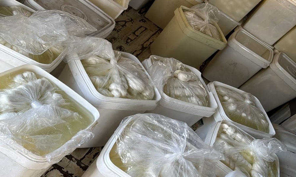 ضبط أجبان سورية مهربة في صيدا