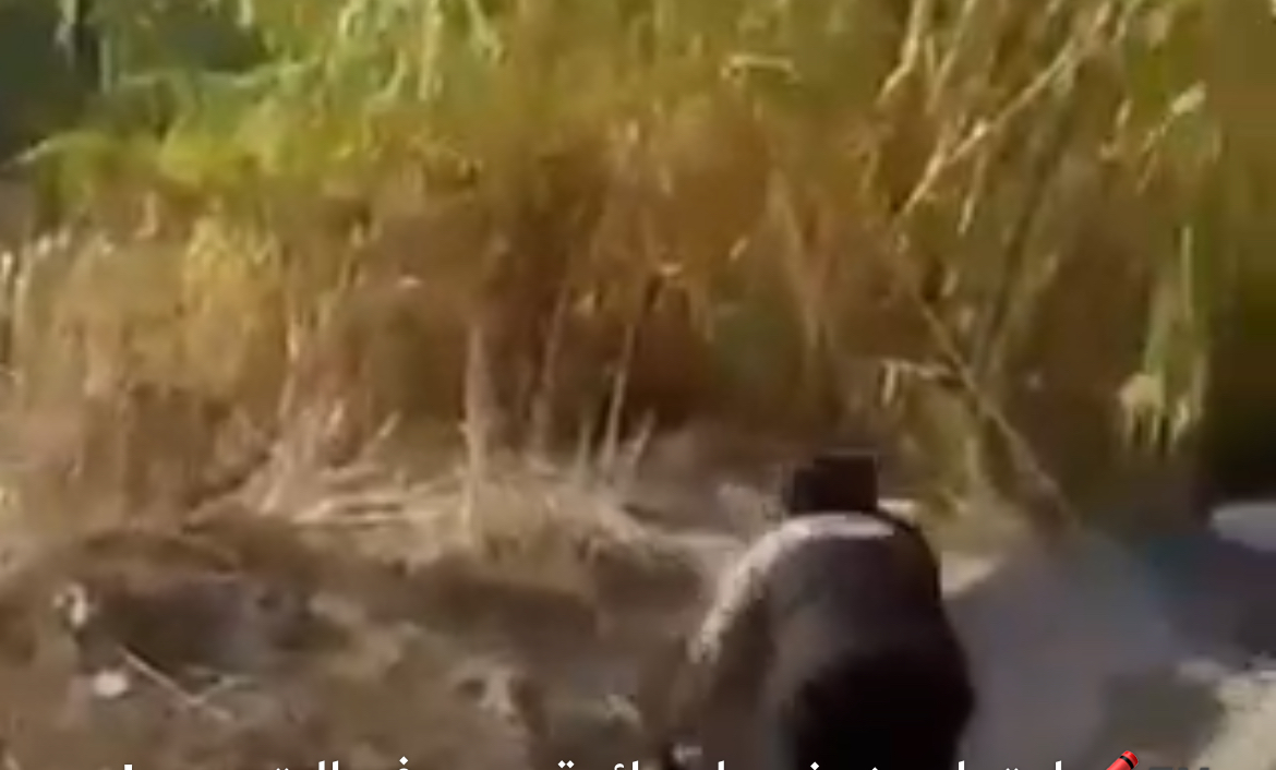 تلبس الحجاب وتعمل  في الدعارة… امرأة تتعرض للضرب على اوتوستراد البترون