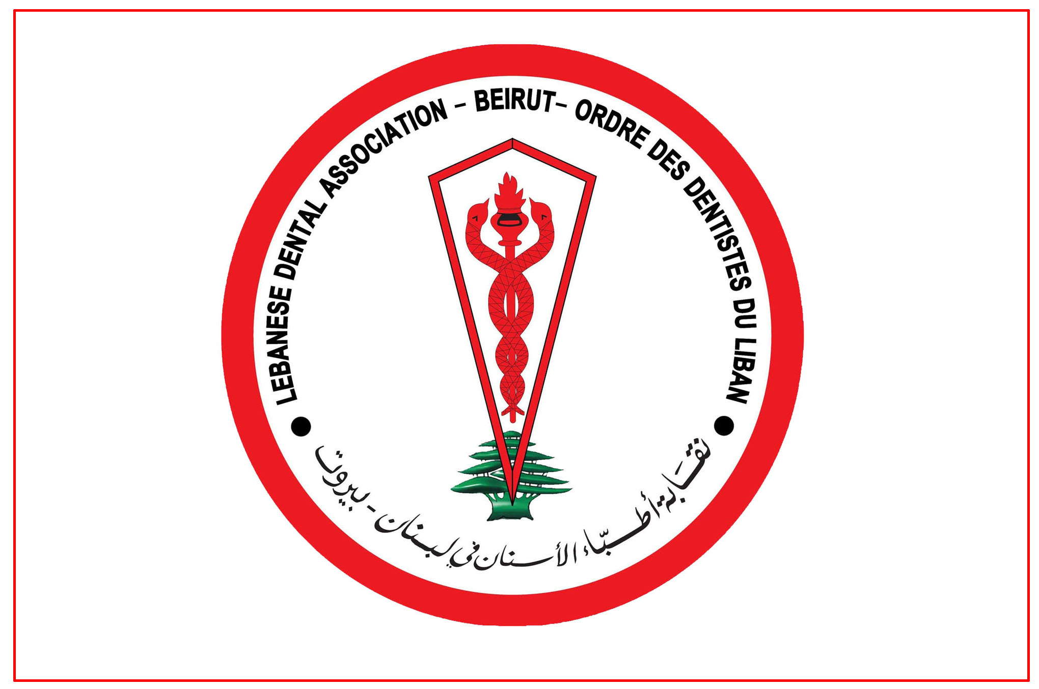 منافسة حادة في انتخابات نقابة الصيادلة… مشارَكة مرتفعة وإشكال قبيل الإقفال