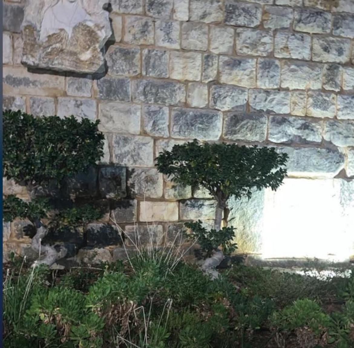 ما صحة النور الساطع من ضريح القديسة رفقا في جربتا؟