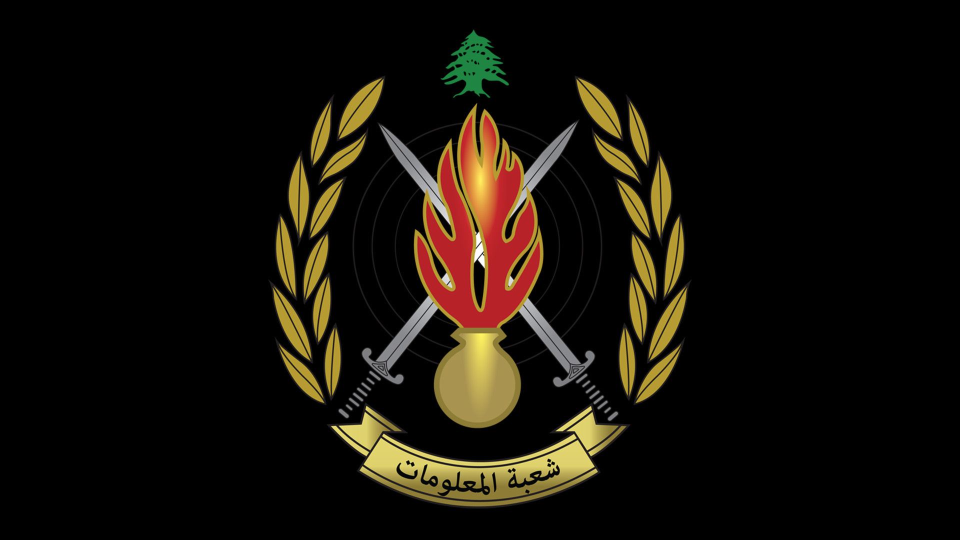 شعبة المعلومات تكشف ملابسات جريمة القتل الغامضة في مخيّم شاتيلا، والتي ذهبت ضحيّتها إحدى السيّدات