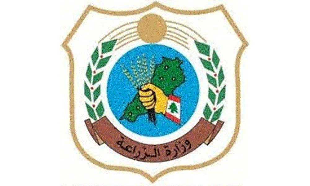 وزارة الزراعة تطلق برنامج لتوزيع غراس الزيتون في الجنوب