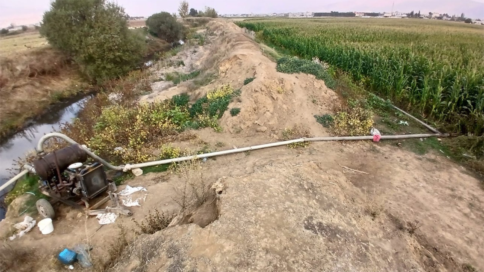 توقيف شخصين استخدما مياه آسنة لري المزروعات