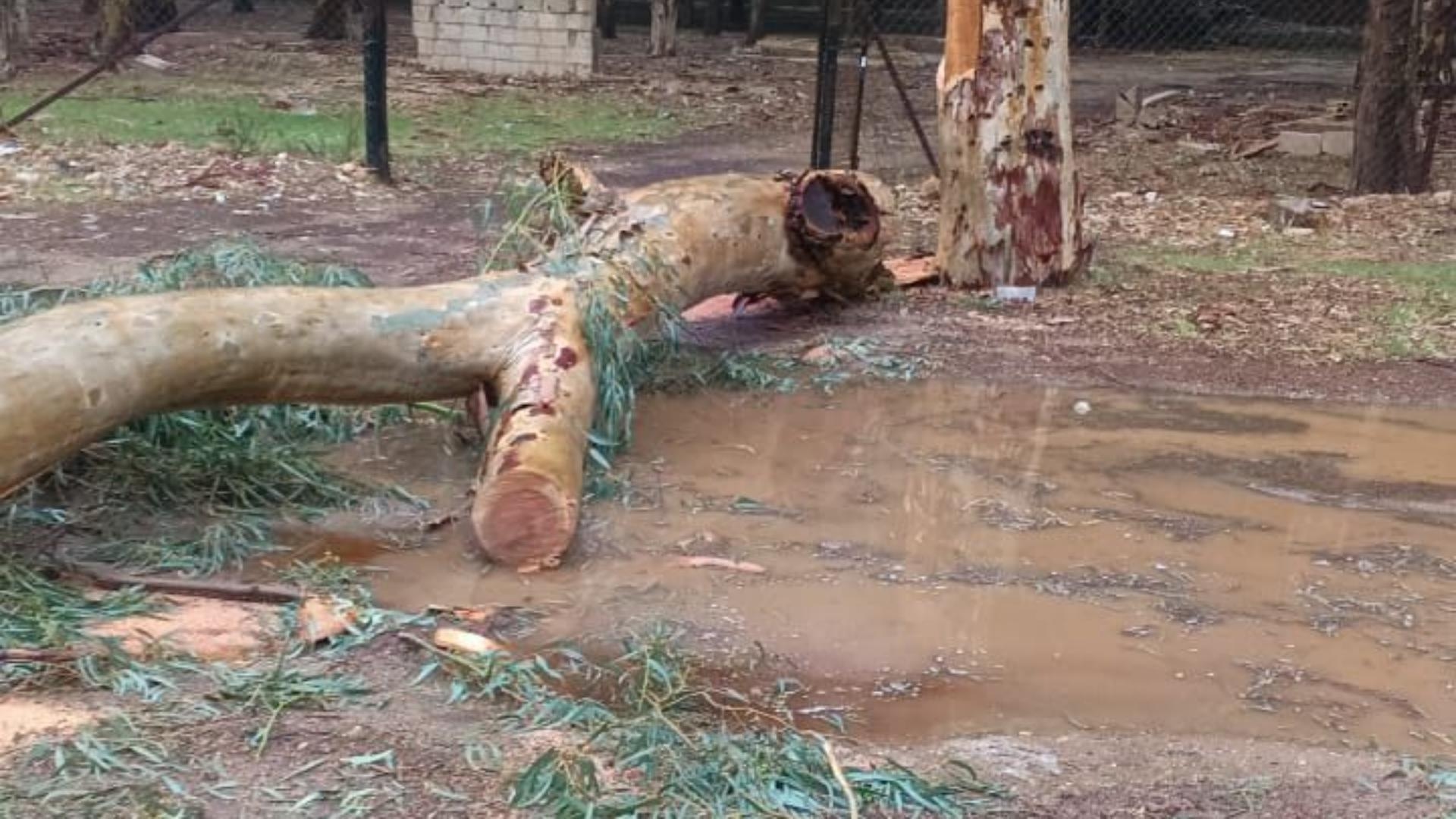 جريمة بيئية داخل حرم نهر الليطاني