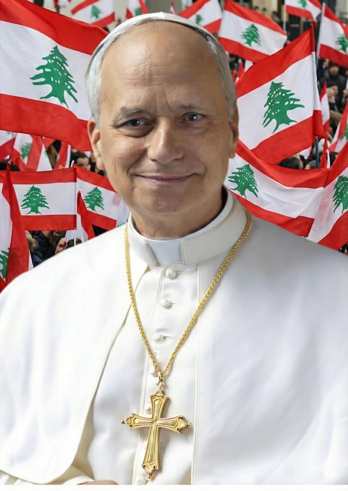 وصول طائرة البابا لاوون إلى المطار