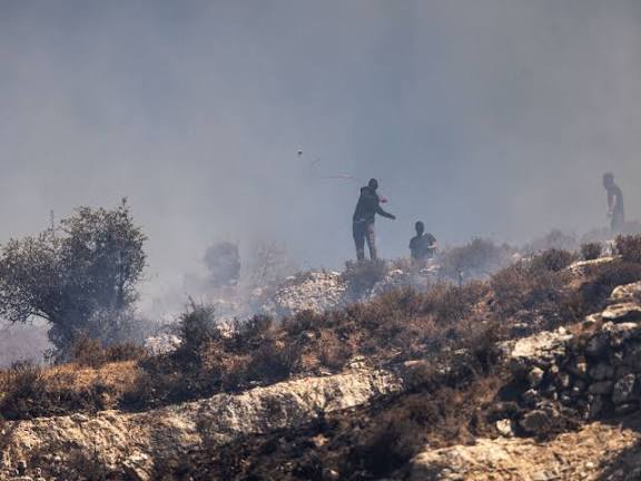 ما حقيقة التهديد في طيرفلسيه؟