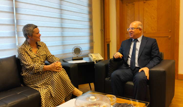 وزير العمل بحث مع سفيرة الاتحاد الأوروبي في سبل دعم الوزارة