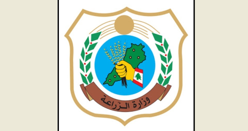 وزارة الزراعة تؤكد تسجيل حالات حمّى قلاعية في لبنان وتعلن إجراءات طارئة لمكافحة انتشار المرض