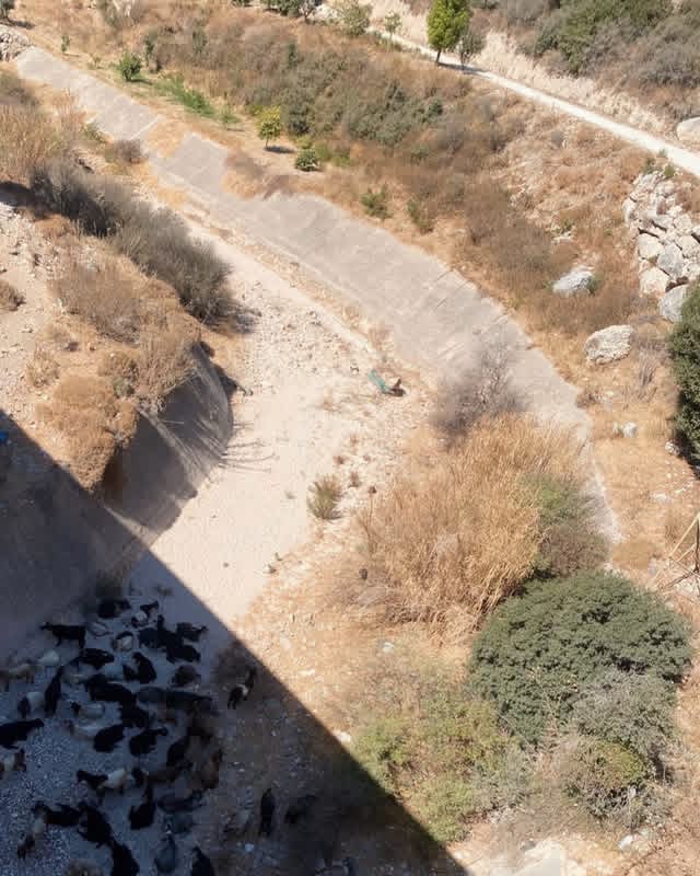 جفاف 4 كيلومترات من نهر الجوز بعد إقفال بوابة سدّ المسيلحة… وجمعيّة الأرض تدعو لتدخّل قضائي عاجل