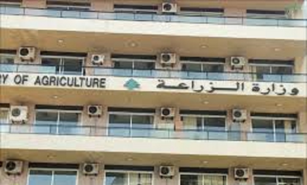 “الزراعة” تطمئن: الحمى القلاعية لا تنتقل إلى الإنسان